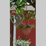 بيت للعطل Casa Emel